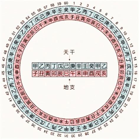 天干地|天干地支:基本概念,乾支與星象,乾支涵義,象法,組合序。